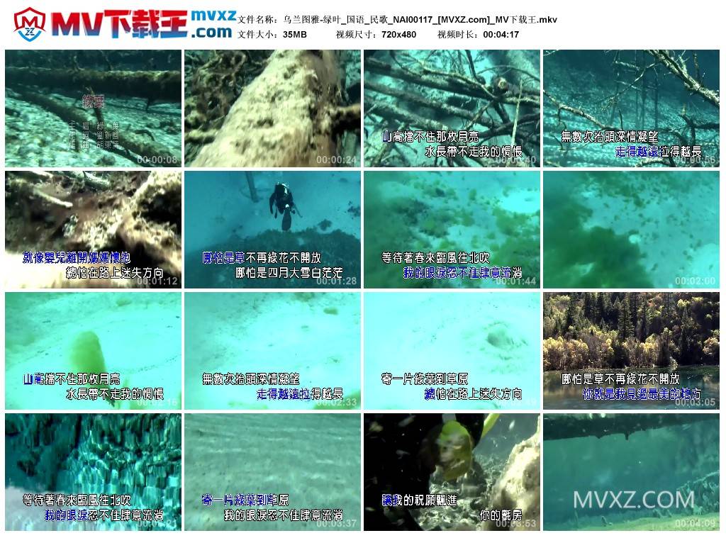 乌兰图雅-绿叶_国语_民歌_NAI00117